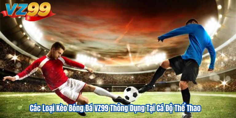Các Loại Kèo Bóng Đá VZ99 Thông Dụng Tại Cá Độ Thể Thao