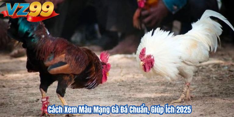 Cách Xem Màu Mạng Gà Đá Chuẩn, Giúp Ích 2025
