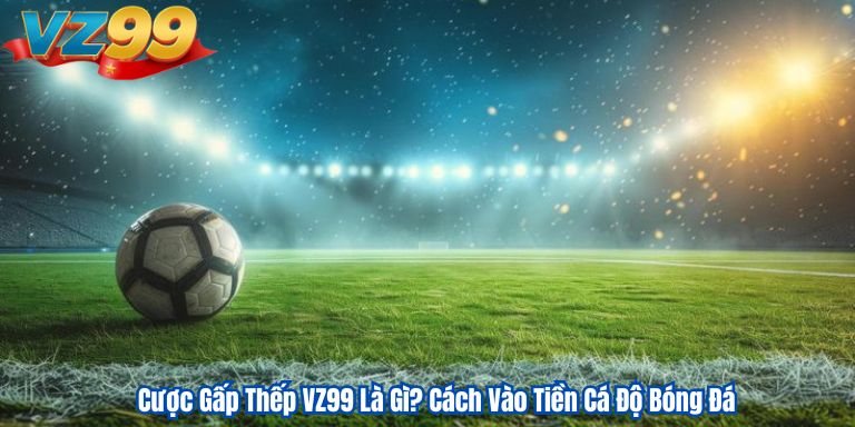 Cược Gấp Thếp VZ99 Là Gì? Cách Vào Tiền Cá Độ Bóng Đá