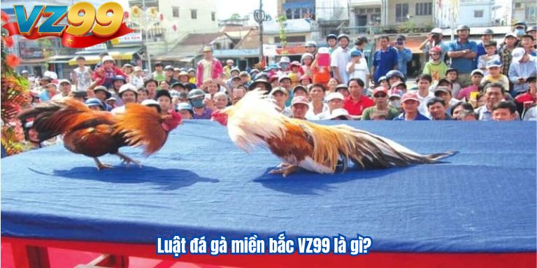 Luật đá gà miền bắc VZ99 là gì?