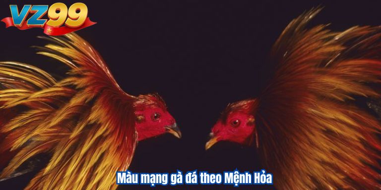 Màu mạng gà đá theo Mệnh Hỏa