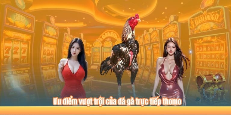 Ưu điểm vượt trội của đá gà trực tiếp thomo